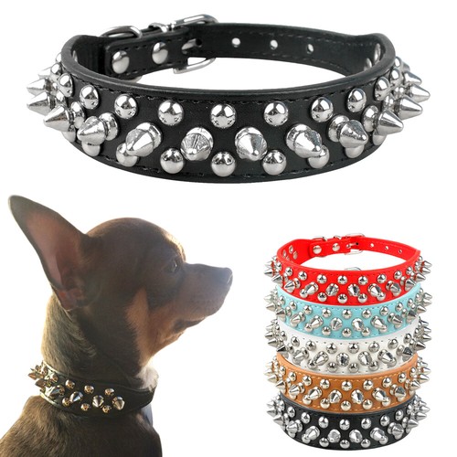 Collares con clavos de para cachorro pequeño chihuahua | eBay