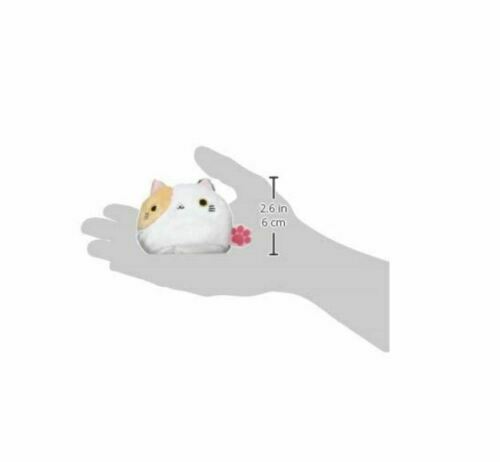 mikeneko！ Mikeneko | Utaite Wiki | Fandom