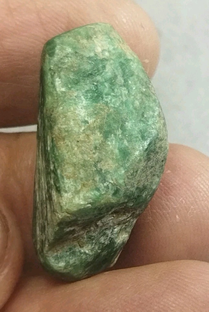 Picture 5 of 5