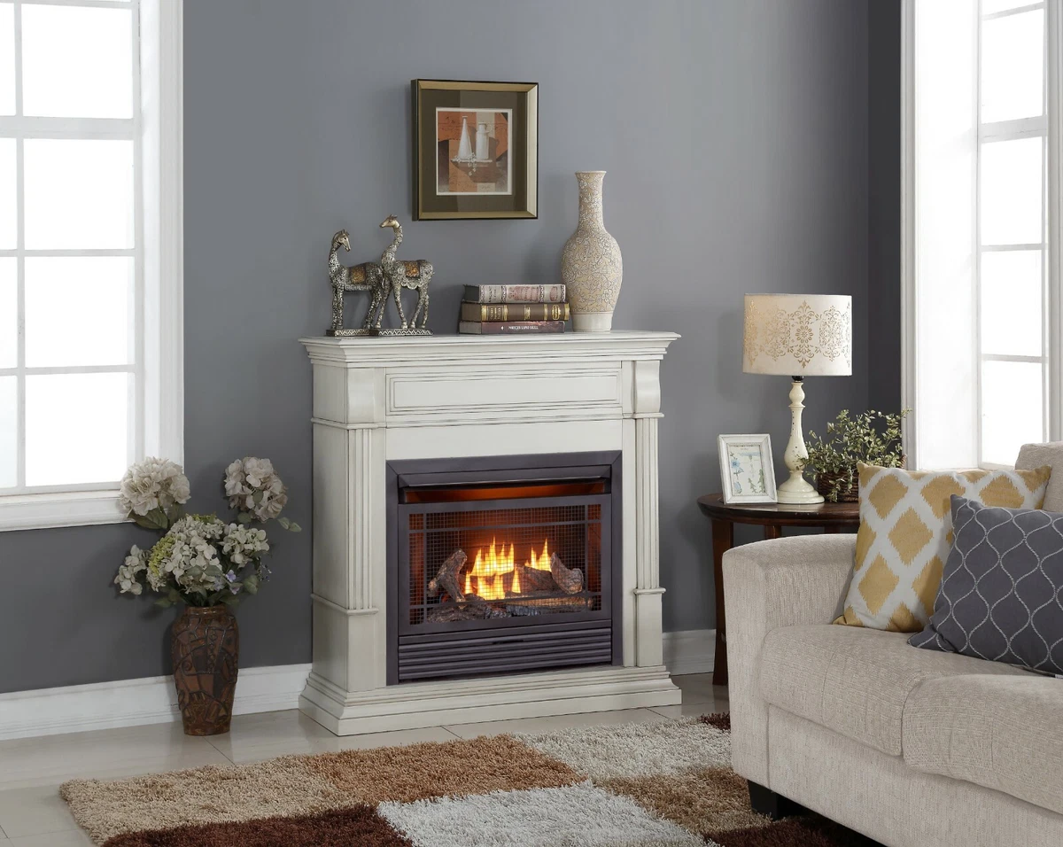 Duluth Forge Dual Fuel Ventless Gas Fireplace - 26,000 BTU, Antique White  Finish 815192021777 | eBay