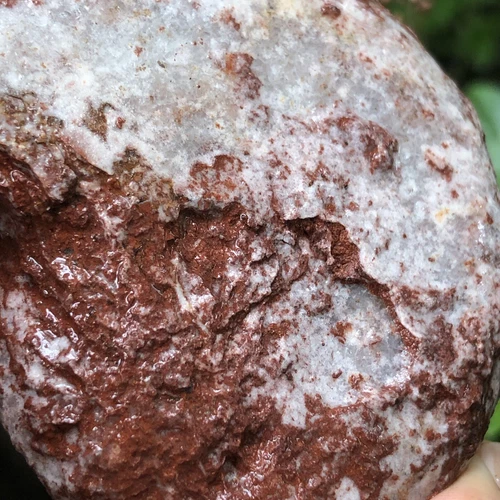 153gr 驚くべきペルミアン 全体 ラフ 薄い アンモナイト 化石 モルスカ - 画像6/11