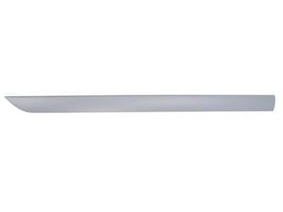 BLIC 5703-04-2532575P Trim/Protection Strip, wing for Ford
