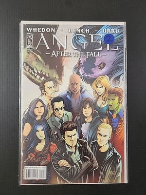 IDW Angel After The Fall #5 (Mar. 2008) High Grade 