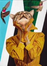 Mixed Media Collage Art 8x10 Matte Print - Man, I Feel Like a Kitty - Signed