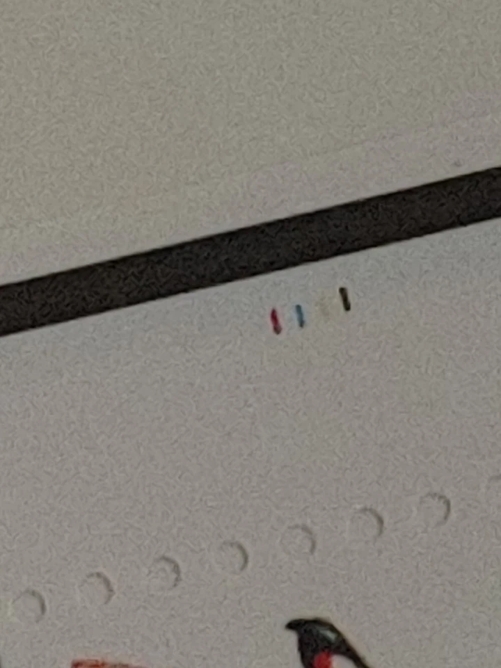 Scott #BK174 (2484a) Wood Duck Booklet of 20 Stamps - MNH - Image 3 of 3