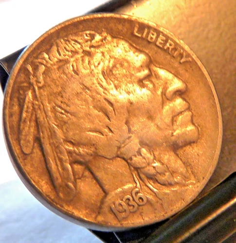 1936 d buffalo nickel Full Date Partial Horn