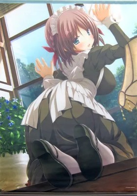 Purple Software Akari Unno B2 Tapestry Aoi Tori Limited Edition Encore Gift
