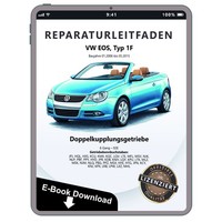 VW EOS 1F 2006-2015 6 Gang Automatikgetriebe DKG 02E Reparaturleitfaden Ebook