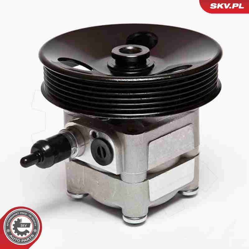 2x ✅Fits SKV GERMANY 10SKV010 POWER STEERING PUMP  ⭐UK Seller⭐