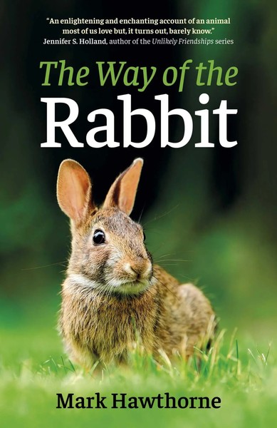 Way Of The Rabbit, The | Mark Hawthorne | Englisch | Taschenbuch | 2022-image