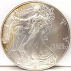 1996 American Silver Eagle