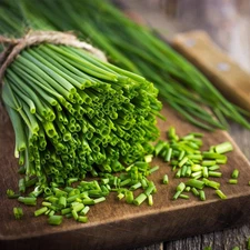 500+ CHIVES SEEDS -- GREEN ONION ------------ PERENNIAL --- MOSQUITO REPELLENT