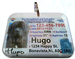 Ontario Canada Driver License Canadian dog cat tag custom by ID4PET 