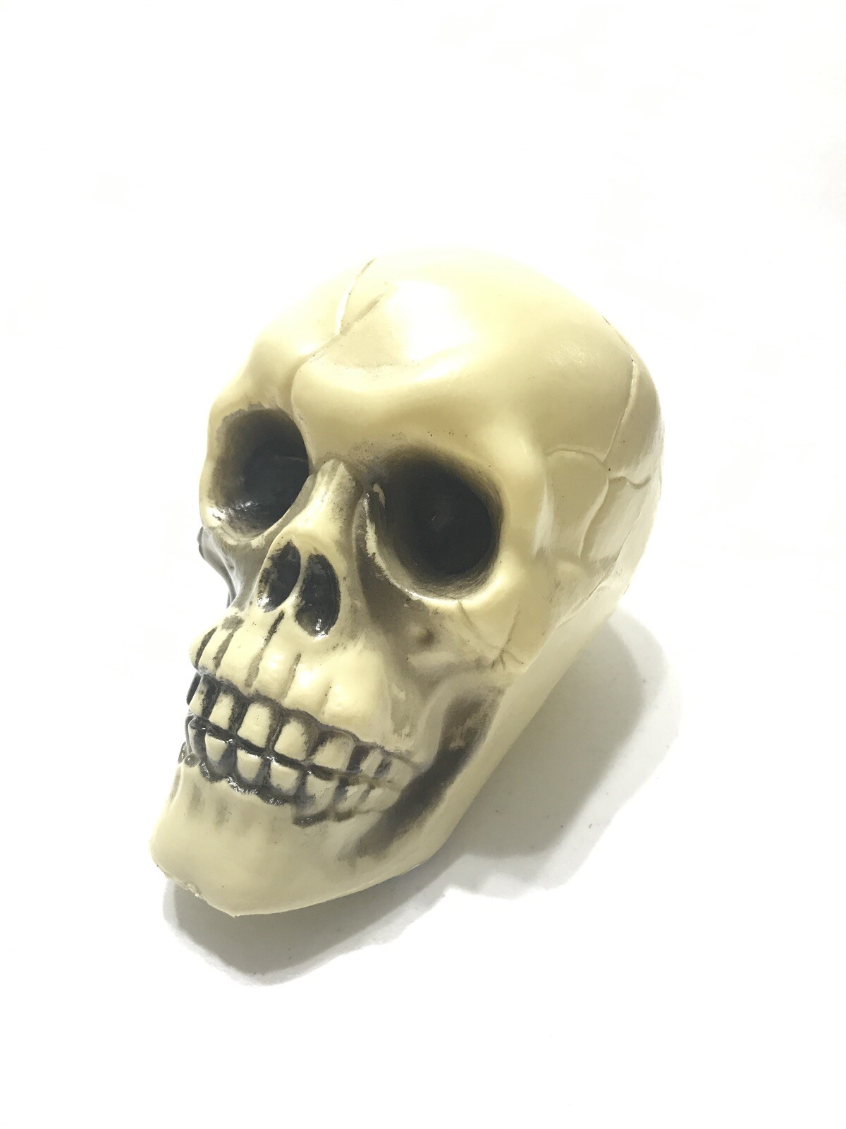 Halloween Plastic Skull Decoration 6 Inch New