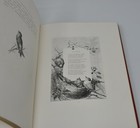 Picture 6 of 8