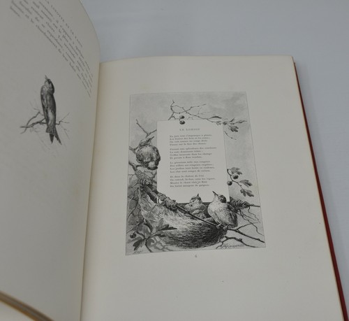 ORNITHOLOGIE THEURIET Nos oiseaux Giacomelli launette 1887 - Bild 6 von 8