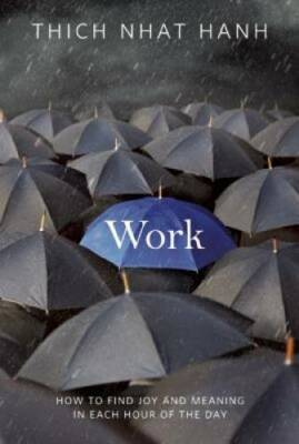 Work: How to Find Joy and Meaning in Each Hour of the Day - VERY GOOD