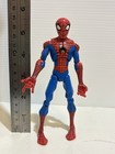 Foto 11 di 11