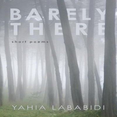 Barely There Yahia Lababidi Hardcover Wipf and Stock Publishers