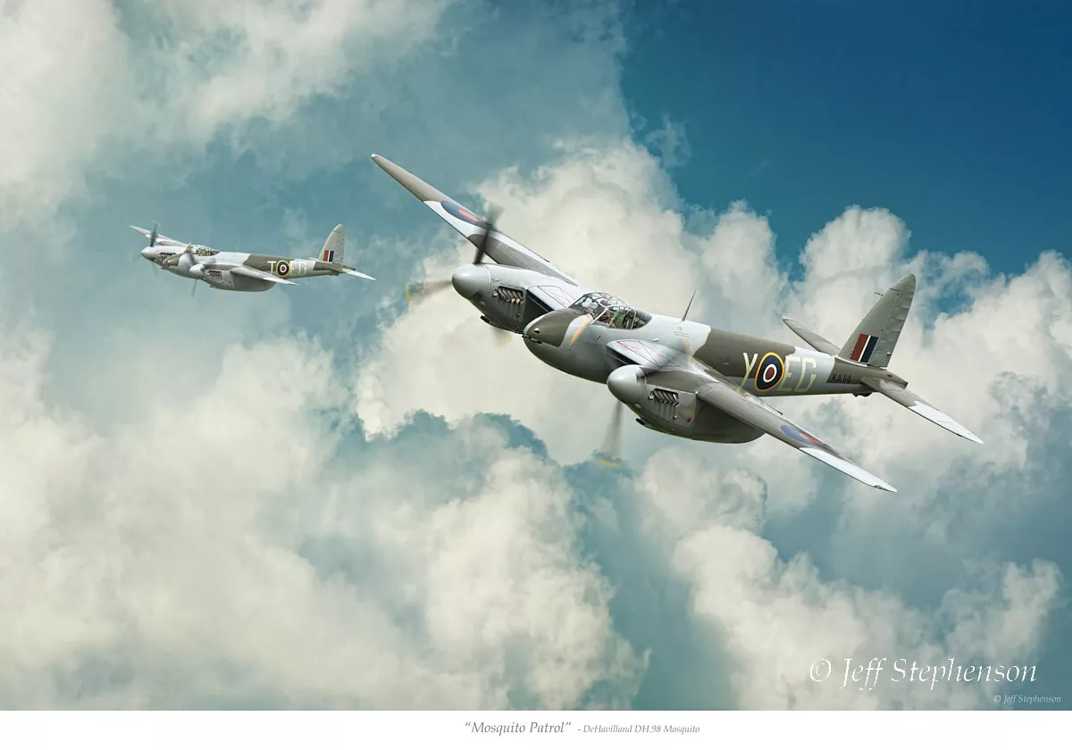Mosquito Patrol