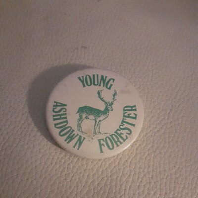 Young Ashdown Forester Vintage Abzeichen