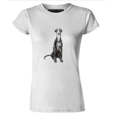 Damen-T-Shirt italienischer Windhund Hund Bleistiftskizze (v2) Haustiere Hündchen Hund