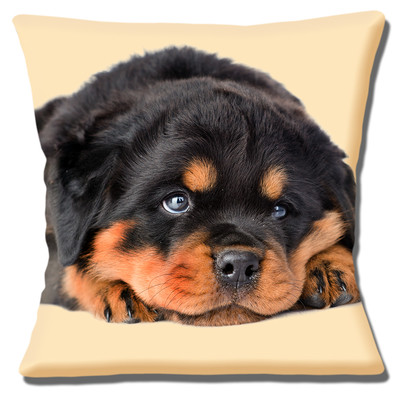 rottweiler cushion