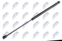 Heckklappen DäMpfer Gasfeder Kofferraum NTY AE-CT-032 FüR CitroËN C4 2 THP 110