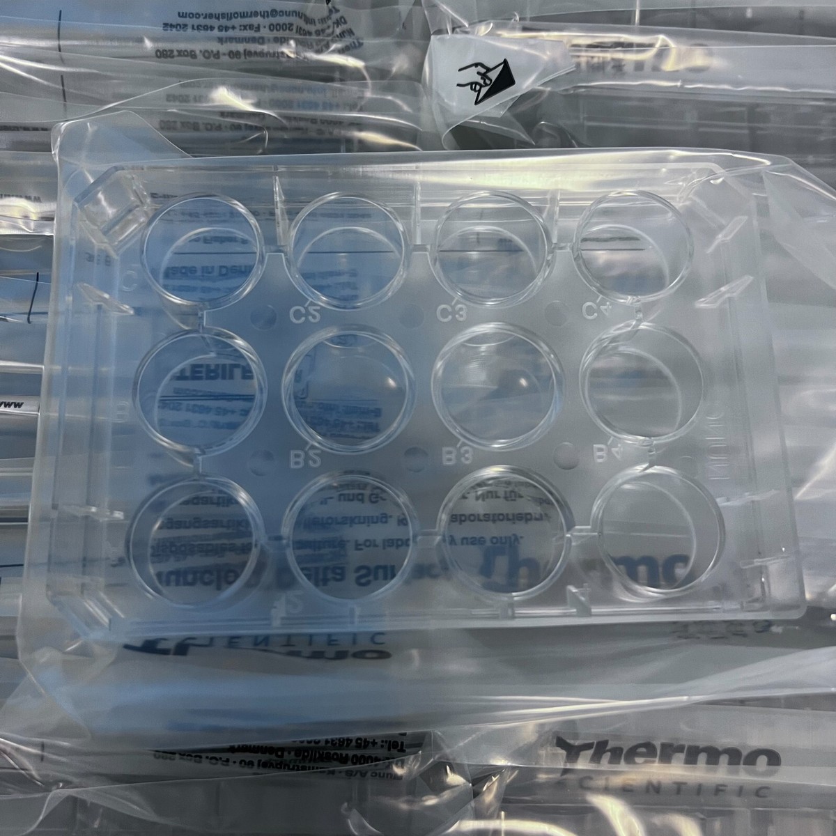 Thermo Scientific 150628 Nunc Multidishes Treated Sterile 12-Well
