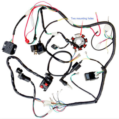 ELECTRIC WIRING HARNESS FOR 200CC 250CC Vitacci 250 pentora ATV Quad Buggy