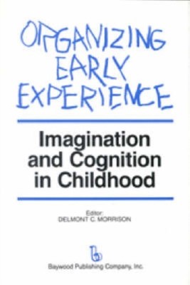 ORGANIZING EARLY EXPERIENCE by MORRISON, DELMONT Hardback Self Help Business