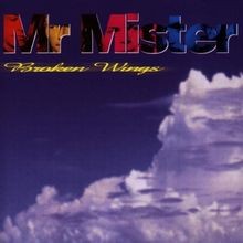 Broken Wings (16 Tracks) von Mr.Mister | CD | Zustand gut