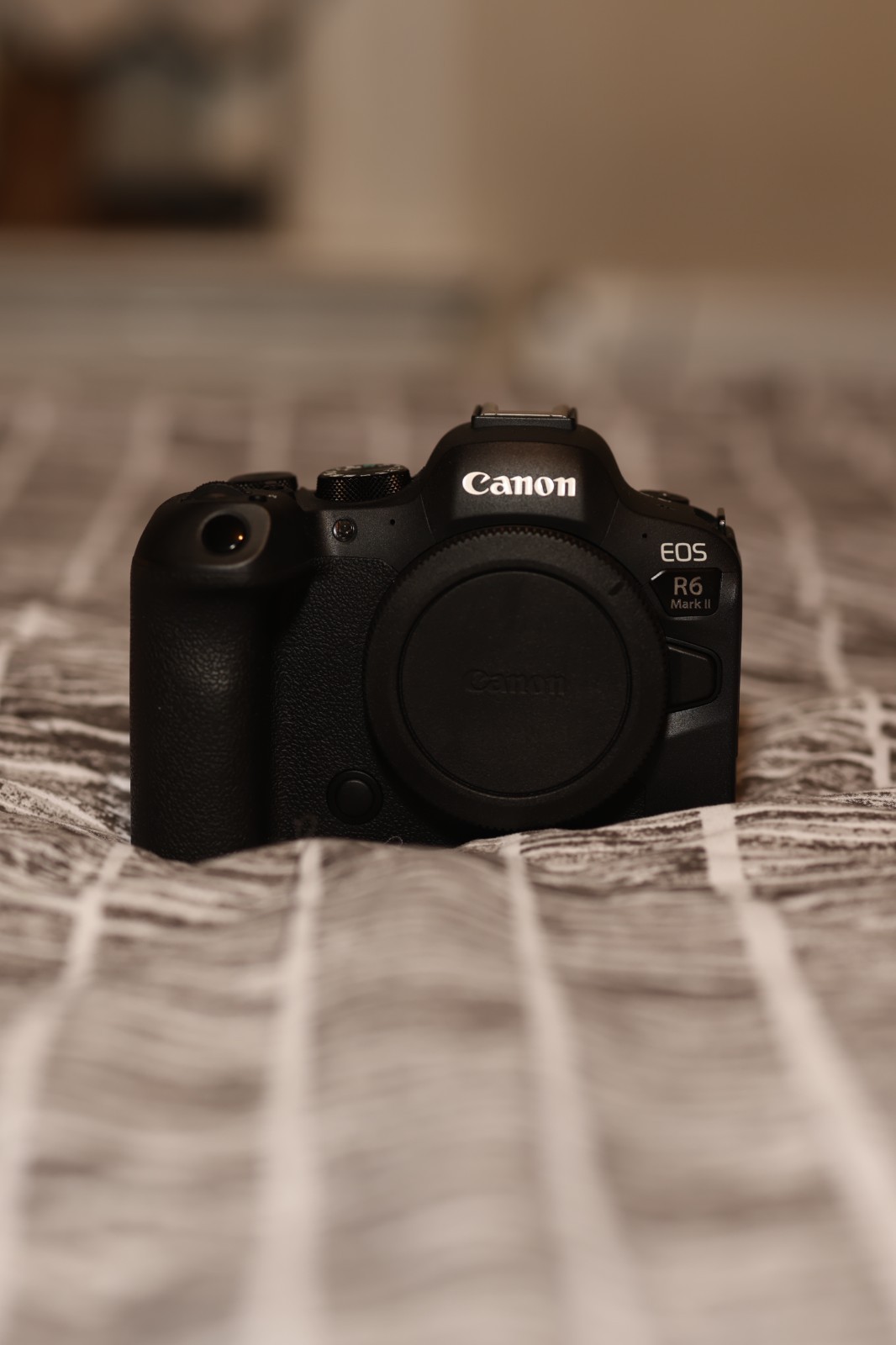 Canon EOS R6 Mark II Mirrorless Camera