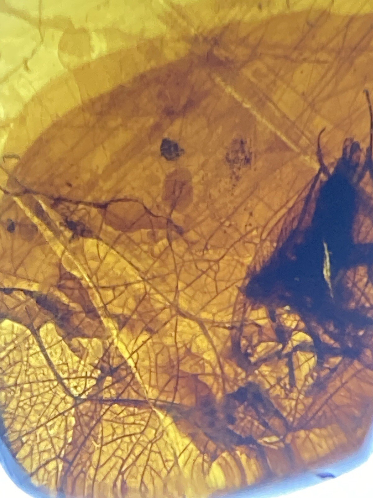 Picture 7 of 8