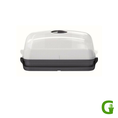 Up & Green Basic Anzuchthaus S / M / L Gewächshaus Mini Tisch Anzucht