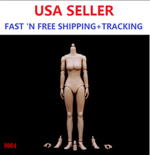 ZY TOYS 1/6 Scale MEDIUM Bust Caucasian skin tone Female Body N004