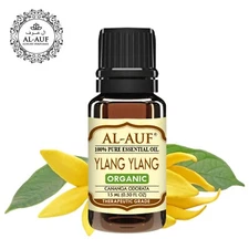 Ylang Ylang Pure Essential Oil 100% Pure Organic Natural by AL-AUF 15ml to 250ml