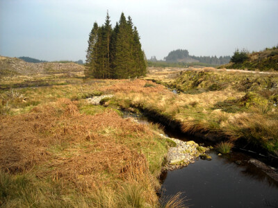 Foto 6x4 Kelty Wasser in Loch Ard Forest Lime Hill c2009