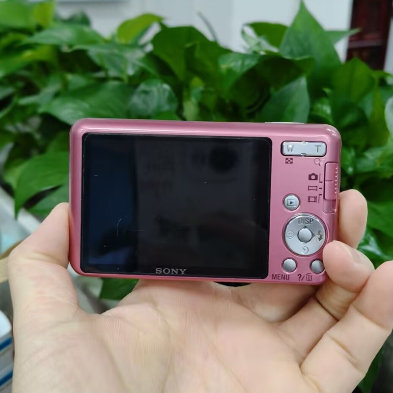 Sony Cyber-shot DSC-W630 Pink 16.1 MP 5x Optical Zoom Compact