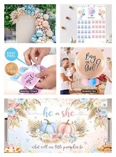 272 Pc Gender Reveal Party Supplies with Photo Props Kit Game Reveal Ballon