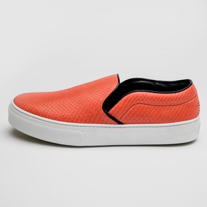 celine snakeskin vans