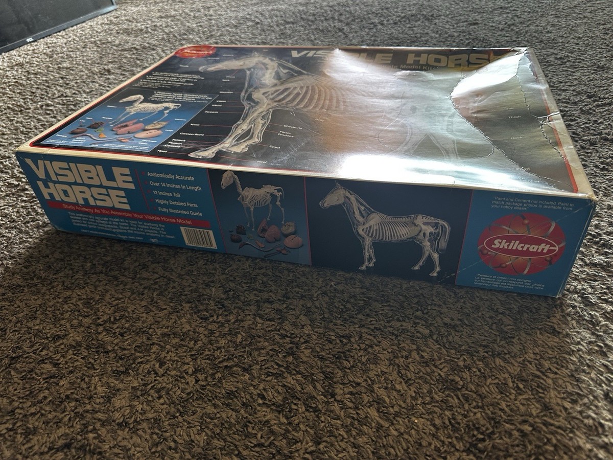 クリスタル　Running Horse Waterfordクリスタル Running Horse 工芸品
