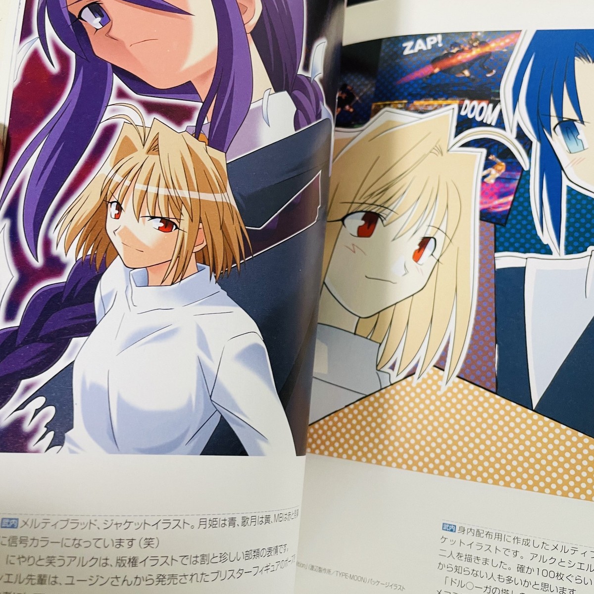 Type-Moon Tsukihime Art Guide Book Tsukihime Dokuhon Plus Period