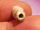 ANCIENT PYU SOLOMONS AGATE CONCH SHAPED AMULET BEAD 14.4-7.2 MM WELL WORN CHIPS — photo 4