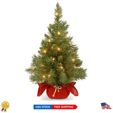Elegant 24-Inch Pre-Lit Fir Tree with 35 White Lights for Festive Cheer