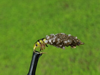 Cased Caddis Fishing Flies