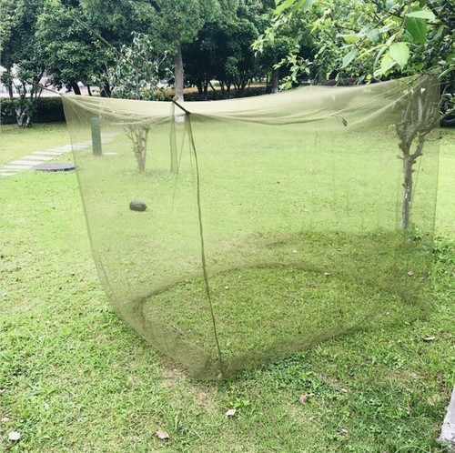Army Green Camping Tent with Ultralight Mesh Net Perfect for Traveling - Picture 7 of 7