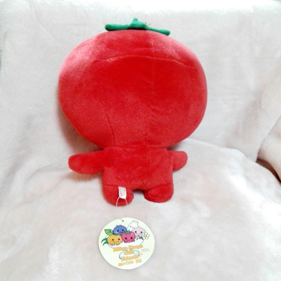 SAN-X Mikan Boya With Friends BIG Plushie Free Shipping | eBay SAN-X Mikan Boya With Friends BIG Plushie Free Shipping | eBay
