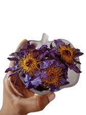 Lotus bleu Nymphaea Caerulea 100 % plantes biologiques fleurs séchées cueilli...