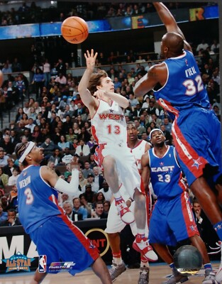steve nash shoes 2005
